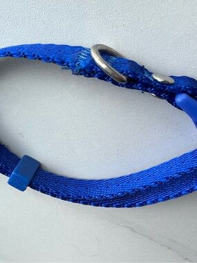 Adjustable Royal Blue Nylon Pet Collar